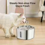ZYFeeder 2.2L Automatic Cat Water Fountain Square Stainless Steel Pet Water Feeder Dog Water Fountain with window（No 5V 1A Plug）