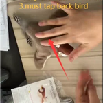 Hot Simulated Bird Cat Toy Interactive Toys Dog Rechargeable Chirping Flapping Bird(no Flying) Touch Activated Plush Toy Pet